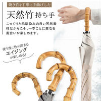 ディーエーピーネットワーク 晴雨兼用 折りたたみ傘 軽量260g(ホワイト×杢グレー) solshade031_WMGY 1個（直送品）