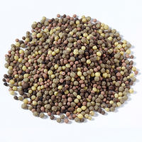 アミノール化学 玉ねぎの一発肥料 65412 1袋(3kg)（直送品）