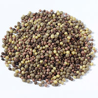 アミノール化学 玉ねぎの一発肥料 65410 1袋(1kg)（直送品）