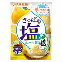 暑さ対策 塩分補給 塩分対策  さっぱり塩飴 塩レモン味 64g 1セット（1個×12）