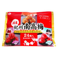 暑さ対策 塩分チャージ 紀州南高梅 アソートセレクション 24個入 1セット（1個×3）
