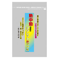 暑さ対策 塩分補給 塩分対策  業務用 熱中タブレットミックス 620g 1セット（1個×3）