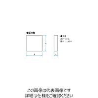 シグマ光機 金平面ミラー 20mm ガラス角型 TFG-20S05-10 1個 61-6872-30（直送品）