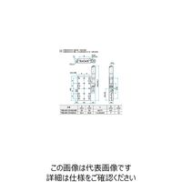 シグマ光機 Z軸ロングスチールステージ(垂直面取付) サイズ65×120mm TSDー65121SZUU 1個 61-6973-74（直送品）
