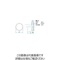 シグマ光機 ネガティブアクロマティックレンズ 焦点距離ー49.94mm DL-25-50NM 1個 61-6949-47（直送品）