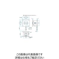 シグマ光機 Z軸フラットスチールステージ サイズ120×120mm TSDー1203 1個 61-6972-84（直送品）