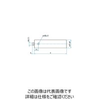 シグマ光機 ロッド φ20mm A130mm RO-20-130 1個 61-6964-94（直送品）