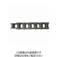 片山チエン スーパーローラーチェーン HKK160SUP-RPT 1個（直送品）