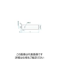 シグマ光機 ロッド φ20mm(C1.5) A100mm ROU-20-100 1個 61-6965-05（直送品）