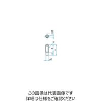 シグマ光機 棒先止めネジ A17.5mm B13.5mm SC-M4-18EE 1セット(10個) 61-6965-33（直送品）