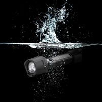 LED LENSER P5R Work 502185 1個