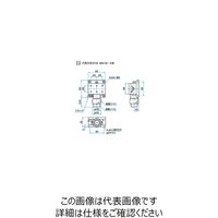 シグマ光機 X軸粗微動ラックピニオンステージ サイズ38×60mm TARー38601D 1個 61-6972-45（直送品）