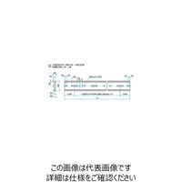 シグマ光機 大型薄形アルミ光学ベンチ A2000mm B111mm OBT-2000LH 1個 61-6961-77（直送品）