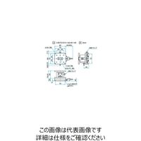 シグマ光機 XZ軸フラットスチールステージ サイズ80×80mm TSDー804CFP 1個 61-6975-10（直送品）