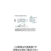 シグマ光機 コンパクトスケール内蔵自動ステージ 85×85mm OSMS(CS)20ー85(X)ーINCH 1個 61-6983-53（直送品）