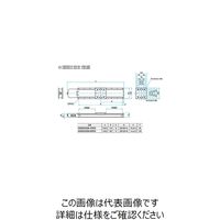 シグマ光機 コンパクトスケール内蔵自動ステージ 100×100mm OSMS(CS)26ー200(X) 1個 61-6983-57（直送品）