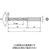 超硬ソリッドドリル TOP DRILL S TDS402A (5xD)(4162996) TDS402A04000 WP20PD 1本（直送品）