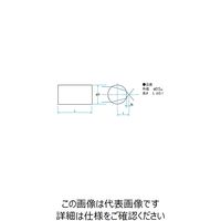 シグマ光機 ロッドレンズ 6mm 焦点距離2.9mm RODB-04L06 1個 61-6948-54（直送品）