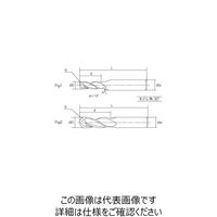 丸一切削工具 THECUT 超硬2枚刃ボールエンドミル(TiSINコーティング) IC2BHT 6R 1本（直送品）