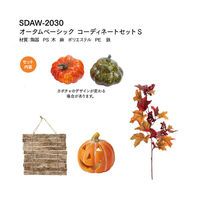 横浜ディスプレイミュージアム オータムベーシックコーディネートセットS ハロウィン SDAW-2030 1個（直送品）