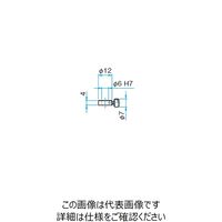 シグマ光機 中間リング TRー6 1セット(5個) 61-6964-33（直送品）