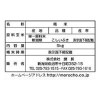 新潟県産 こしいぶき 5kg 【精白米】 令和7年産 米 お米