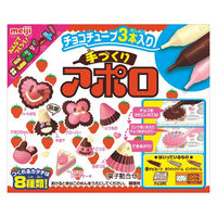 チョコレート菓子 手づくり　アポロ 1セット（1個×6）
