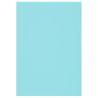 マルアイ 色画用紙 N831 みず 八つ切り Pエ-N83LB 1袋（10枚入）