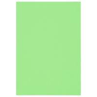 マルアイ 色画用紙 N833 きみどり 八つ切り Pエ-N83YG 1袋（10枚入）