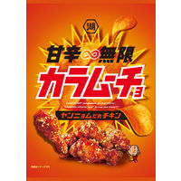 甘辛無限カラムーチョ ヤンニョムだれチキン 6袋 湖池屋 ポテトチップス スナック菓子 おつまみ