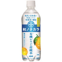 【栄養機能食品】ダイドードリンコ 和ノチカラ 有機レモン使用炭酸水 500ml 1セット（48本）