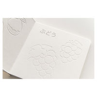 コクヨ Art and Craftシリーズ 凸凹ぬりえ くだもの編 KE-AC5 1冊