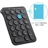 テンキー Bluetooth パンダグラフ 薄型 充電式 Tabキー付 耐久性 IC-KP08 ブラック 1個 iClever