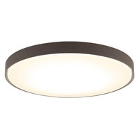 アイリスオーヤマ シーリングライト 8畳 調光調色 ウッドフレーム CEA8DL-7.0WFM 1台（直送品）