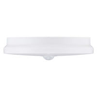 アイリスオーヤマ 小型シーリングライト 薄形 600lm 昼光色 人感 SCL6D-MS-U2 1個（直送品）