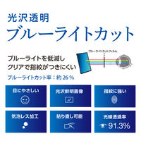 ナカバヤシ iPad mini (第6世代/A17 Pro)液晶保護フィルム光沢指紋防止抗菌 TBF-IPM21FLKBC 1個