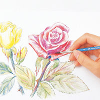 ファーバーカステル 水彩色鉛筆C 36色セット TFCC-WCP/36C 1個（直送品）