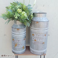 Habiter(アビテ) ルフェル・ミルクカン S ANE-203-AA 1個（直送品）