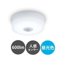 アイリスオーヤマ 小型シーリングライト 高効率 600lm 昼光色 人感センサー付き SCL6D-MS-H 1台