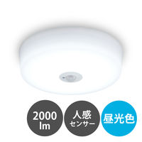 アイリスオーヤマ 小型シーリングライト 高効率 2000lm 昼光色 人感センサー付き SCL20D-MS-H 1台