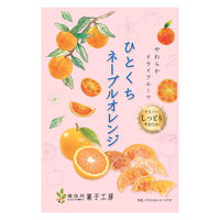 ドライフルール　食べきりサイズ ひとくちネーブルオレンジ　24g 1セット（1個×6）