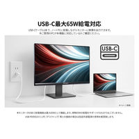 JAPANNEXT 24インチ 液晶ディスプレイ JN-IPS24WX-HSPC6 1台（直送品）