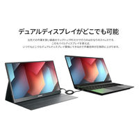 JAPANNEXT 17.3インチ 4Kワイド モバイルディスプレイ JN-MD-IPS173U 1台（直送品）
