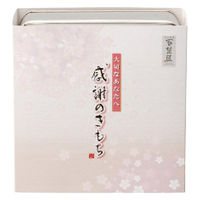 大阪前田製菓 米菓詰合せ 感謝のきもち OTN-25 1個（直送品）