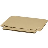 マルアイ タフボックス Lサイズ きなり CA-30LN 1枚（直送品）