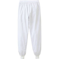 アイトス ホッピングパンツ ホワイト 4L 861031-001-4L 861031 1本（直送品）