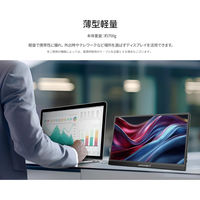 JAPANNEXT 15.6インチ ワイド モバイルディスプレイ JN-MD-IPS156F3 1台（直送品）