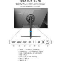 JAPANNEXT 31.5インチ ワイド4K液晶ディスプレイ JN-IPS315U-HSPC6 1台（直送品）
