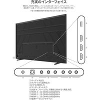 JAPANNEXT 100インチ ワイド4K液晶ディスプレイ 車上渡し製品 3年保証 JN-V100U-M-H3 1台（直送品）