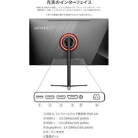 JAPANNEXT 31.5インチ ワイド4K液晶ディスプレイ JN-V315U2-HSP 1台（直送品）